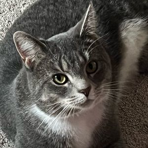 Meet your Posher, Lori